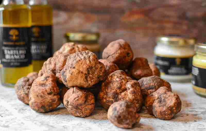 tartufo bianchetto marzuolo