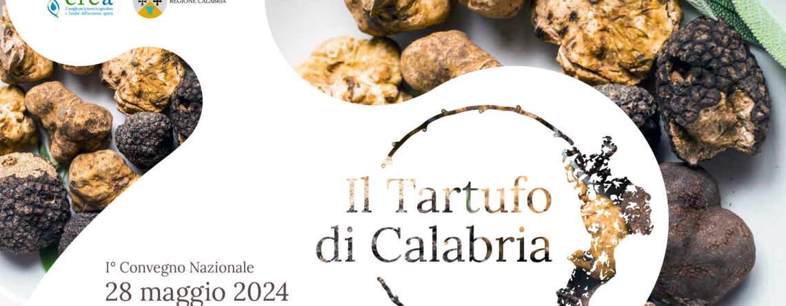tartufo di calabria
