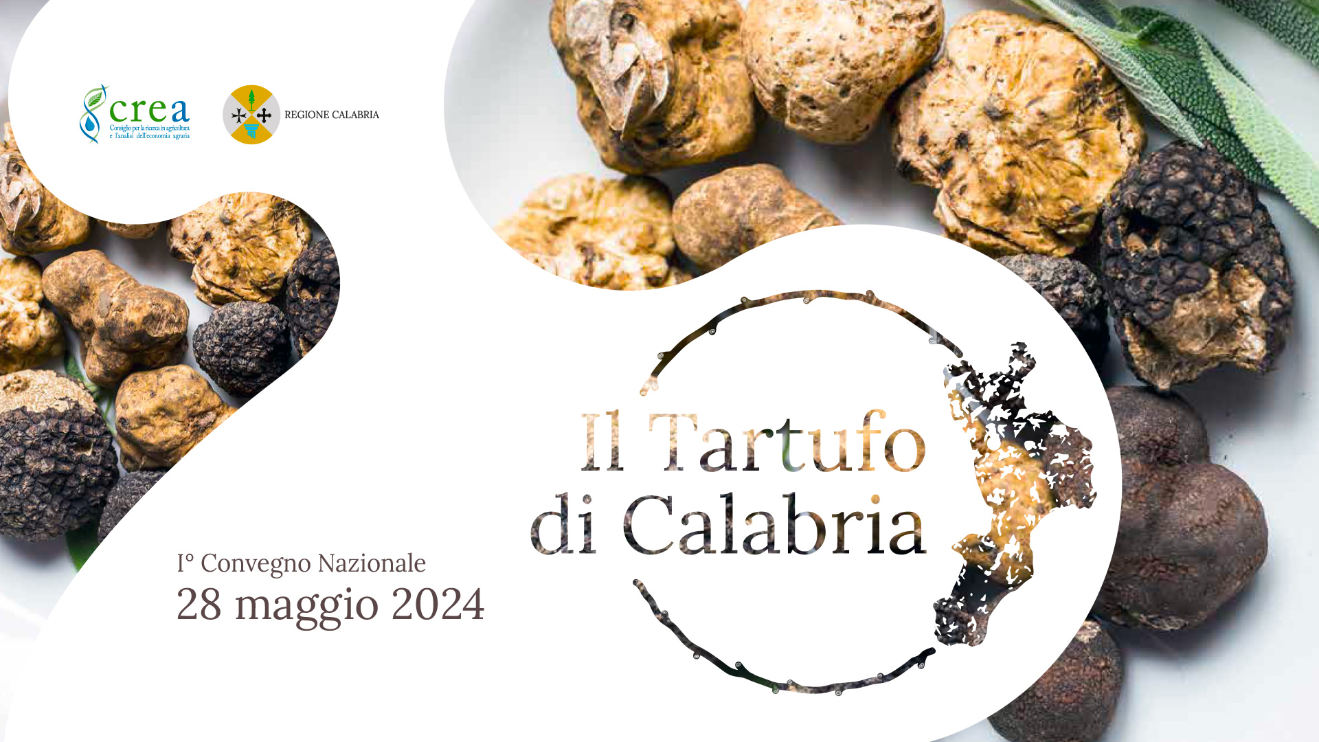 tartufo di calabria