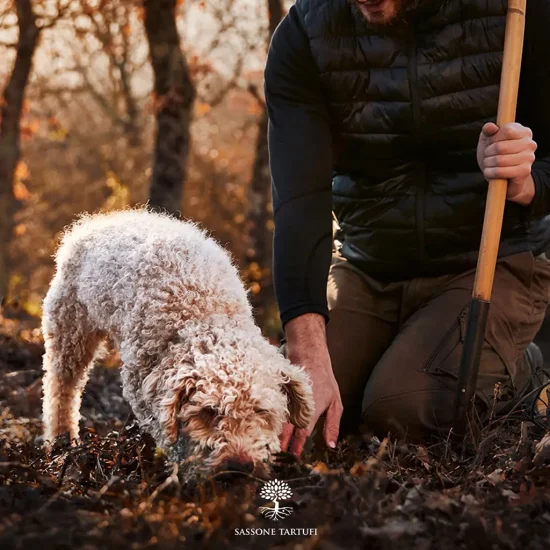 cane-tartufo